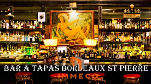 Bar a Vin Bordeaux St Pierre